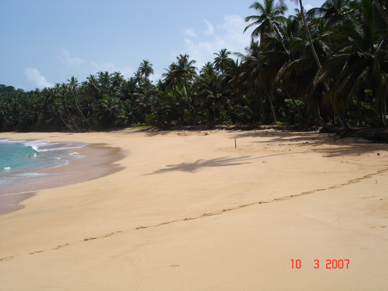 Ver Tartarugas em São Tomé e Príncipe: Guia para Não Perder a Experiência