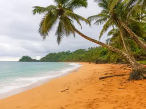 praia-jale - stpfind-a-car.com